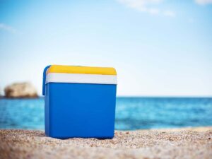 borsa frigo sul mare