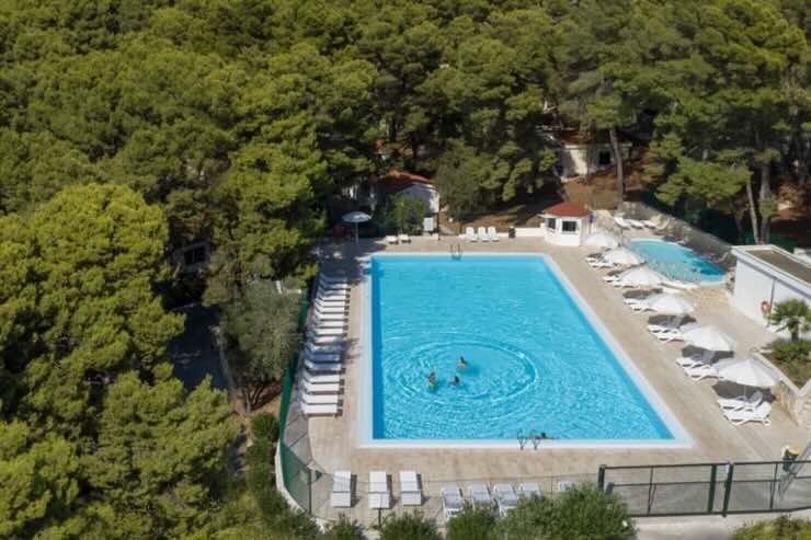 piscina e vegetazione